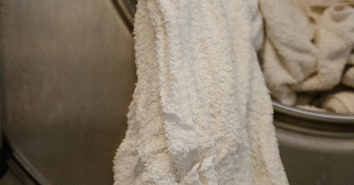 Identifying the Sources of Excessive Noise in Your Washing Machine