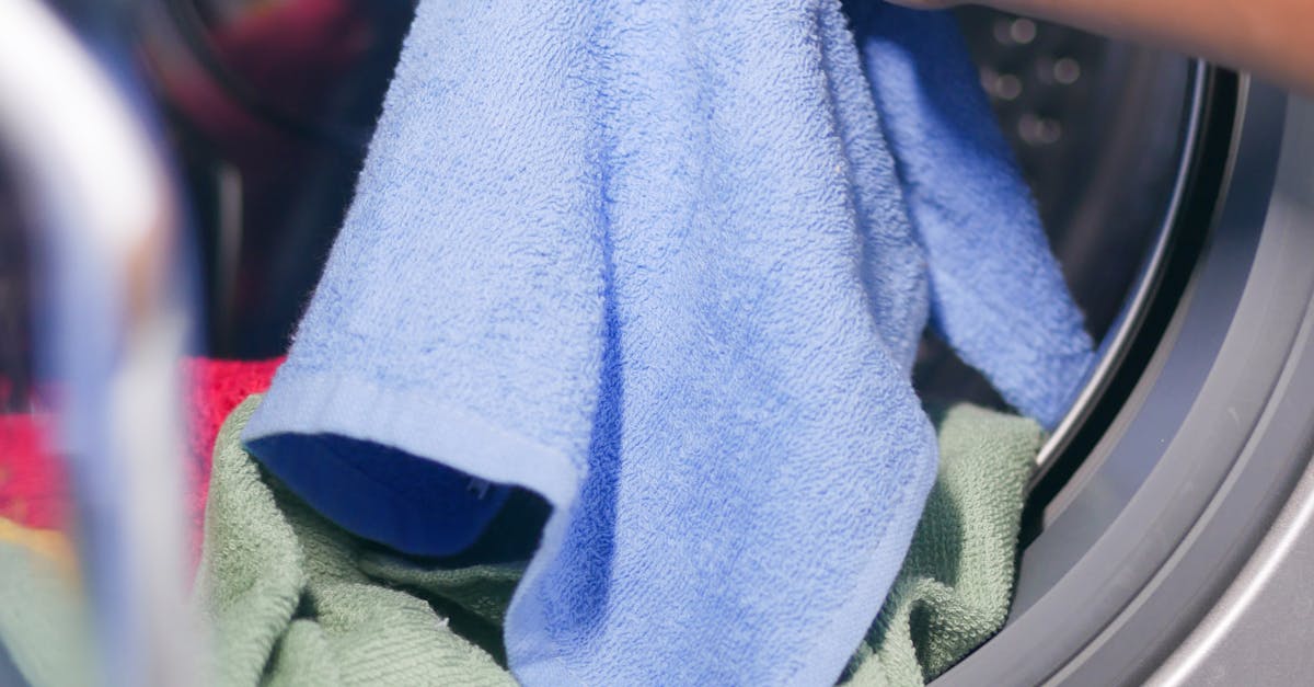 When to Call a Professional for Noisy Washing Machine Issues